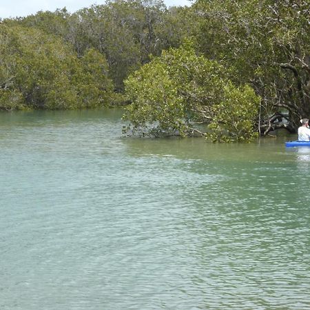 Changing Tides Bnb Paihia Εξωτερικό φωτογραφία