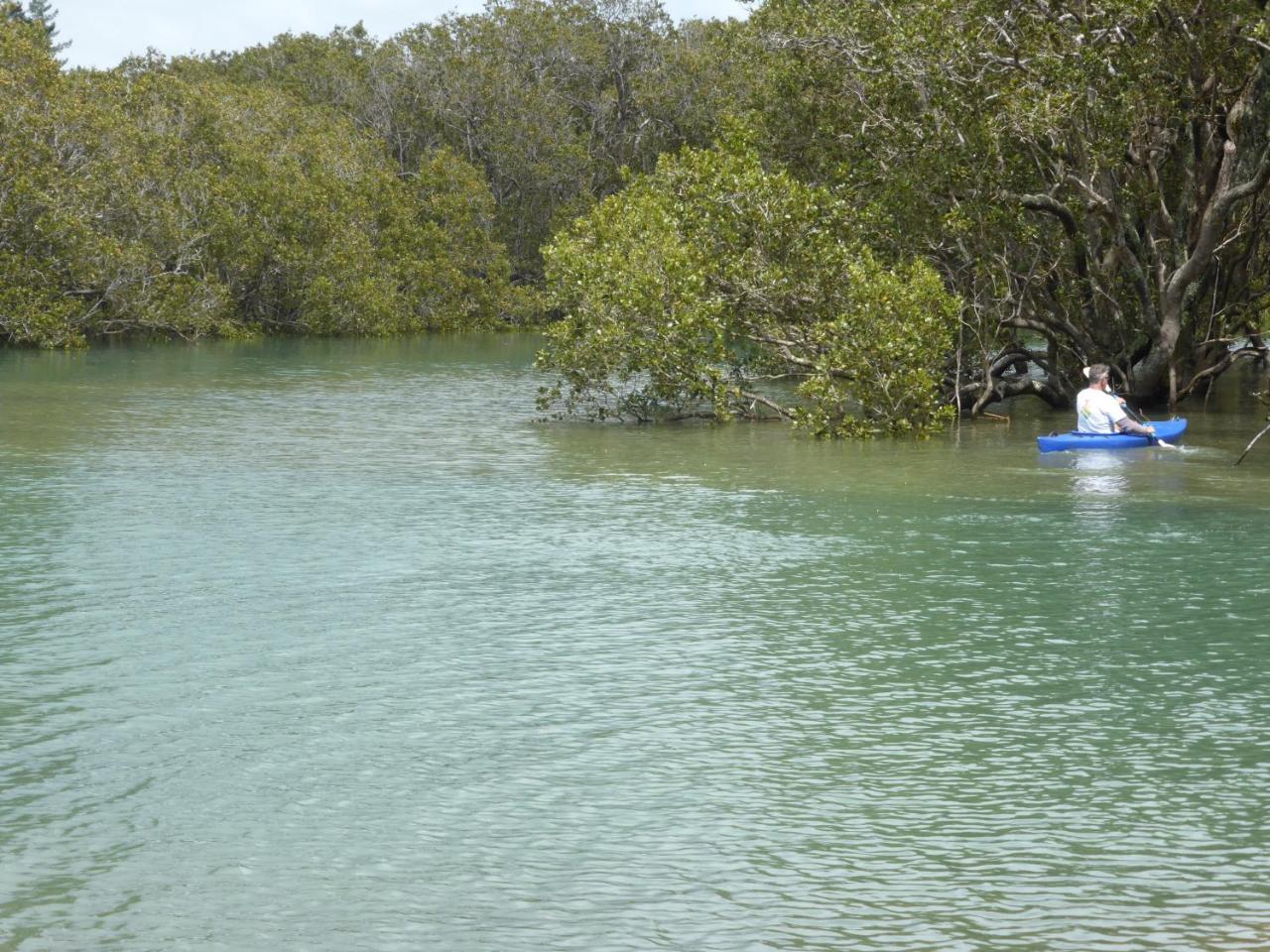 Changing Tides Bnb Paihia Εξωτερικό φωτογραφία